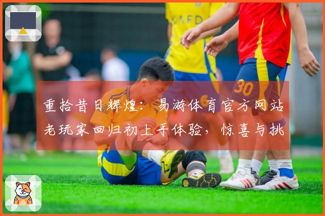 重拾昔日辉煌：易游体育官方网站老玩家回归初上手体验，惊喜与挑战并存