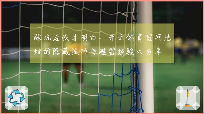 踩坑后我才明白，开云体育官网地址的隐藏技巧与避雷经验大分享