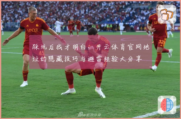 踩坑后我才明白，开云体育官网地址的隐藏技巧与避雷经验大分享