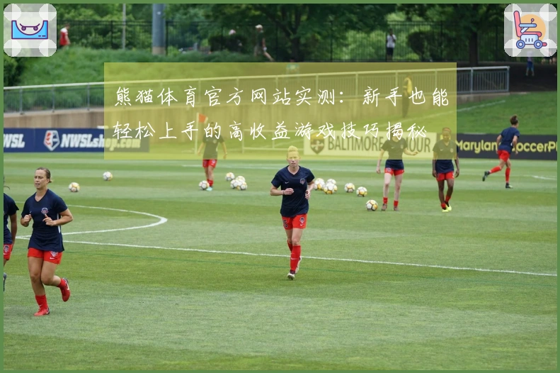熊猫体育官方网站实测：新手也能轻松上手的高收益游戏技巧揭秘